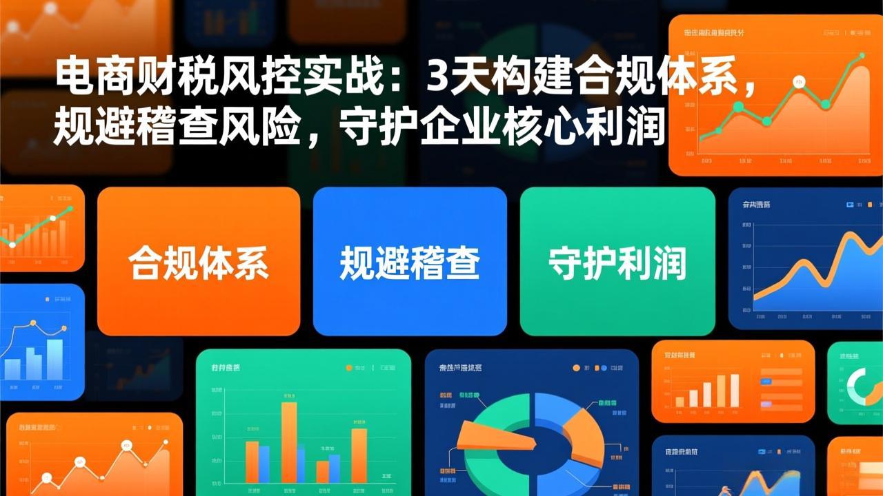 （17197期）电商财税风控实战：3天构建合规体系，规避稽查风险，守护企业核心利润