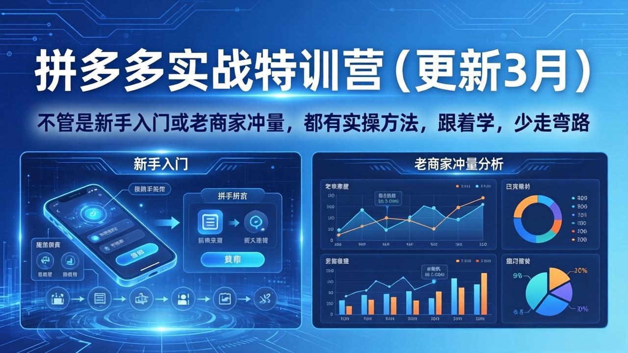 （17654期）拼多多实战特训营(更新3月)：不管是新手入门或老商家冲量，都有实操方法，跟着学，少走弯路