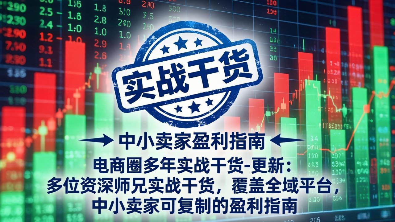 （18398期）电商圈多年实战干货-更新5月10：多位资深师兄实战干货/覆盖全域平台，中小卖家可复制的盈利指南