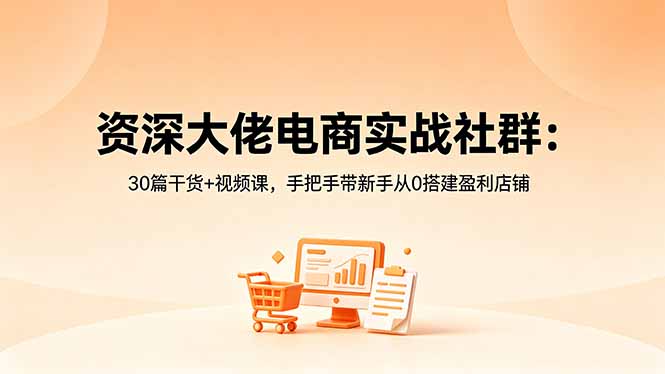 （18529期）资深大佬电商实战社群：30篇干货+视频课，手把手带新手从0搭建盈利店铺