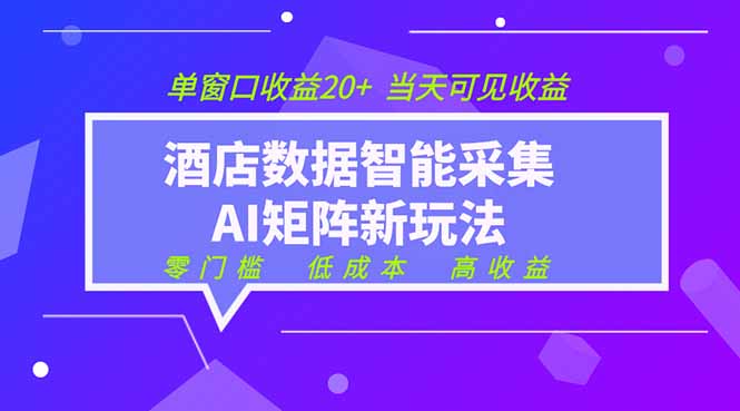 （19041期）2026酒店数据采集ai智能矩阵新风口  低成本   高收益   当天见收益   单窗口20+