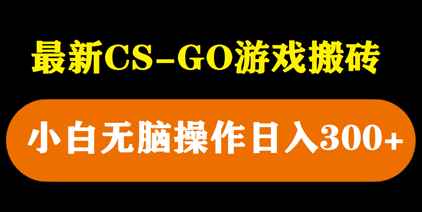 (5760期)最新csgo游戏搬砖游戏,无需挂机小白无脑也能日入300+