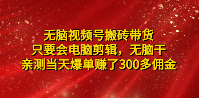 (4862期)无脑视频号搬砖带货,只要会电脑剪辑,无脑干,亲测当天爆单赚了300多佣金