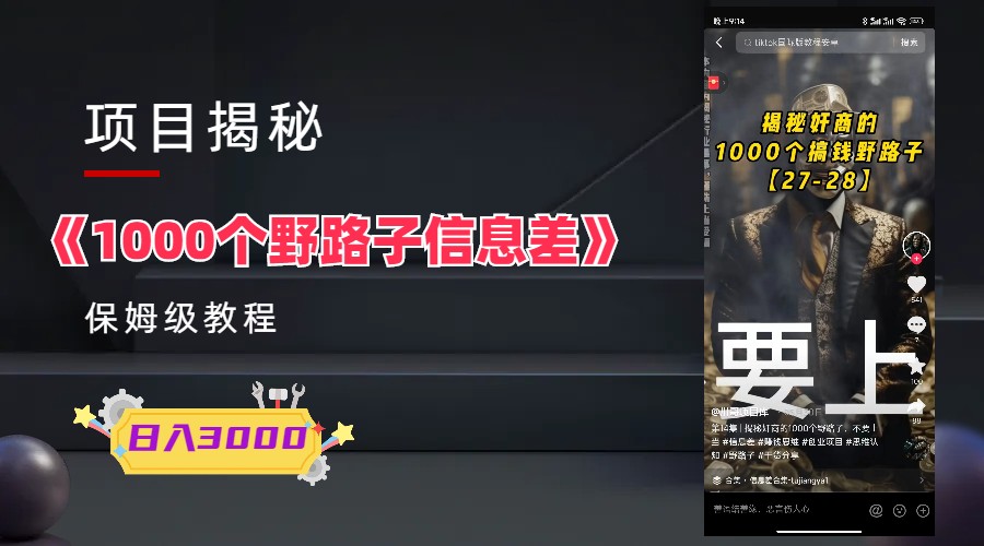 (6135期)1000个野路子信息差保姆式教程-单日变现3000+的玩法解密